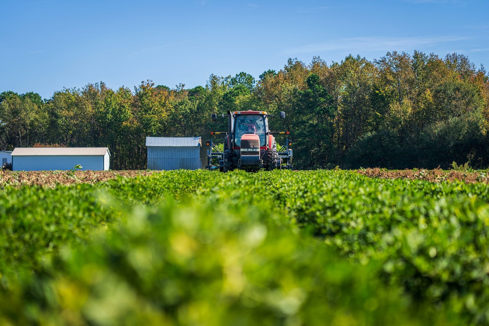 Importancia de la Agricultura Sostenible: Estrategias para un Futuro Ecológico