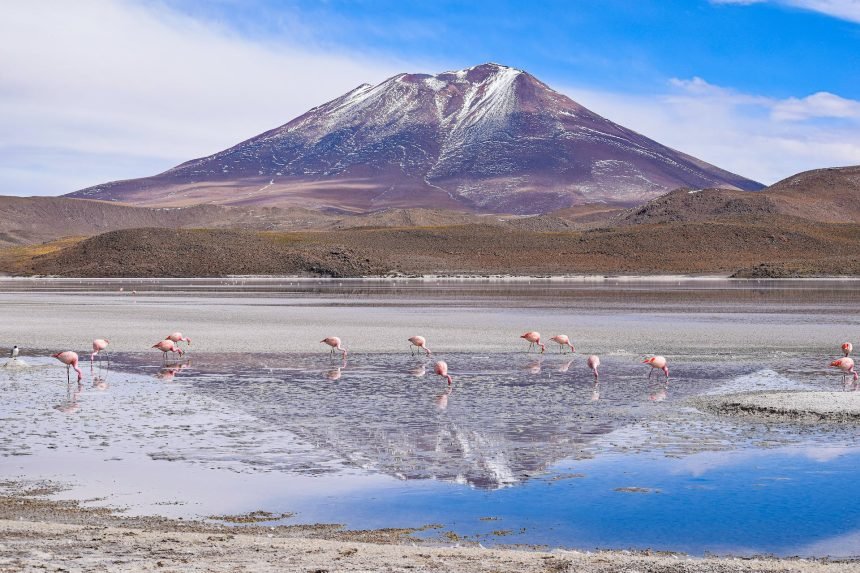 Descubre las Maravillas de Bolivia