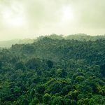 Perdidos en la Selva del Madidi