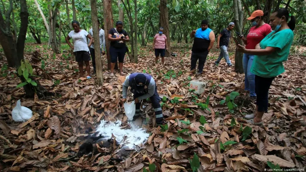 "Llamado a la Acción: Protege Nuestra Fauna"