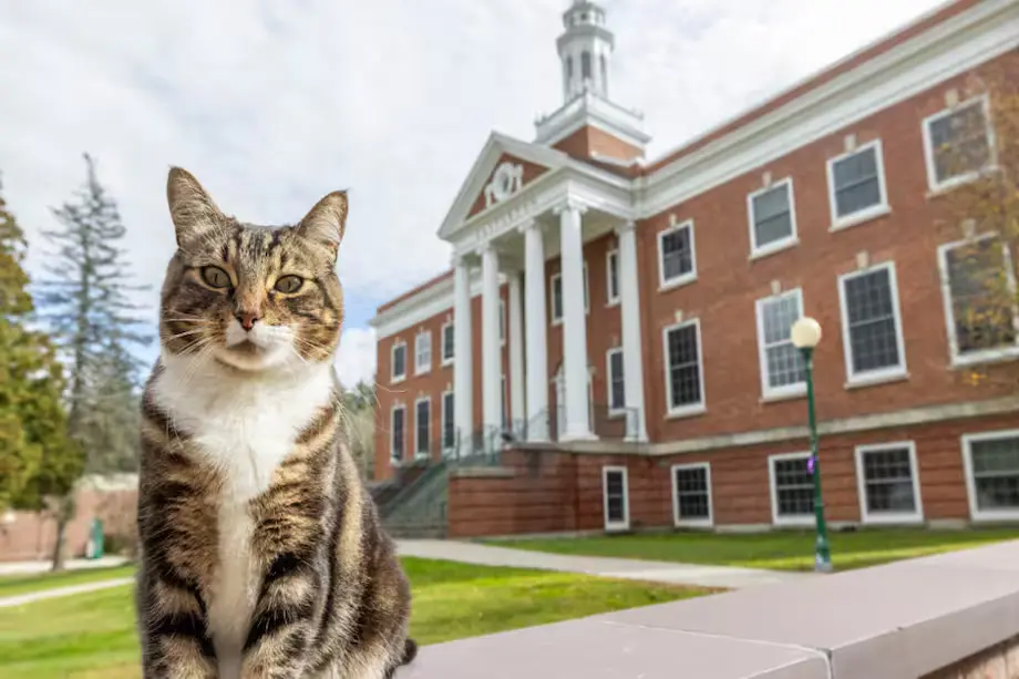 Max, ícono de Vermont State