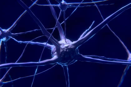 Explorando el potencial del trasplante de médula ósea en el tratamiento del Alzheimer y el envejecimiento cerebral.