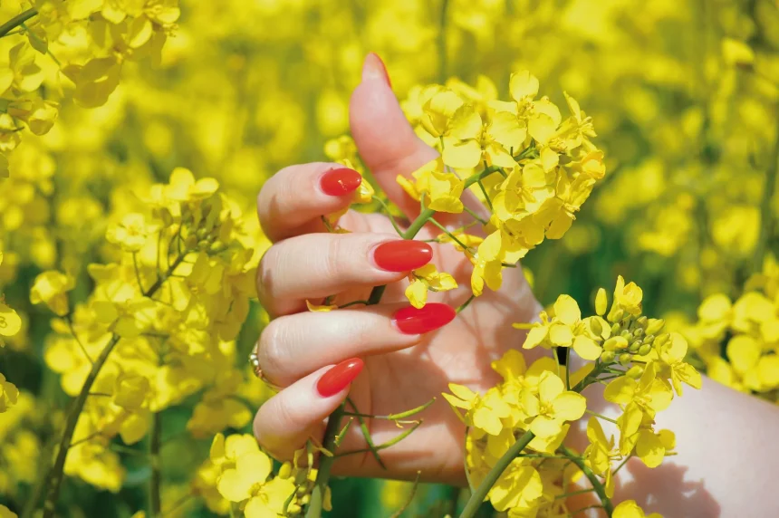 Cuidado de las Uñas: Guía Completa para Mantenerlas Saludables y Bellas