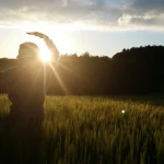 Tai Chi y Qi Gong: Un Viaje a Través de las Tradiciones de Energía y Movimiento