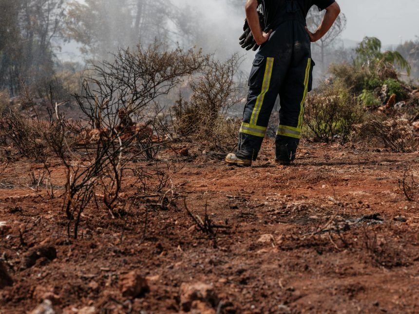 incendios-forestales