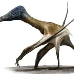 Pterosaurios: De trepadores diminutos a titanes terrestres del Mesozoico según un estudio