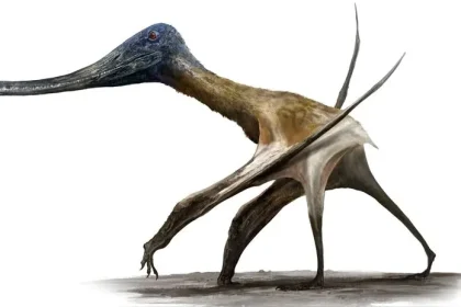 Pterosaurios: De trepadores diminutos a titanes terrestres del Mesozoico según un estudio