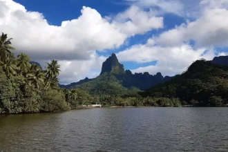 El cambio climático continúa siendo una de las mayores amenazas globales para la biodiversidad, y las islas, con su flora única y rica en especies endémicas, son particularmente vulnerables.