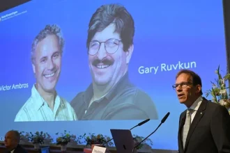 En la madrugada de este lunes, la Academia Sueca sorprendió al mundo científico con el anuncio del Premio Nobel de Medicina