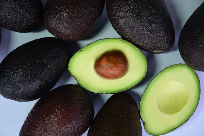 palta