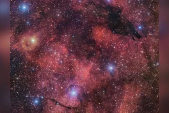 En una celebración astrofísica para Halloween, el Observatorio Europeo Austral (ESO) ha presentado una imagen impresionante y enigmática: la Nebulosa del Lobo Oscuro, una estructura cósmica que parece una silueta fantasmal de un lobo acechante sobre un fondo estrellado y colorido