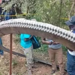 Un insólito incidente sacudió la tranquilidad del pueblo de Mukuku, ubicado en el sureste de Kenia, cuando un anillo metálico de aproximadamente 500 kilogramos cayó del cielo el pasado 30 de diciembre de 2024. Este hecho, que podría ser considerado un fenómeno aislado, ha generado un gran interés tanto a nivel nacional como internacional, destacando los desafíos que plantea el manejo de los desechos espaciales.