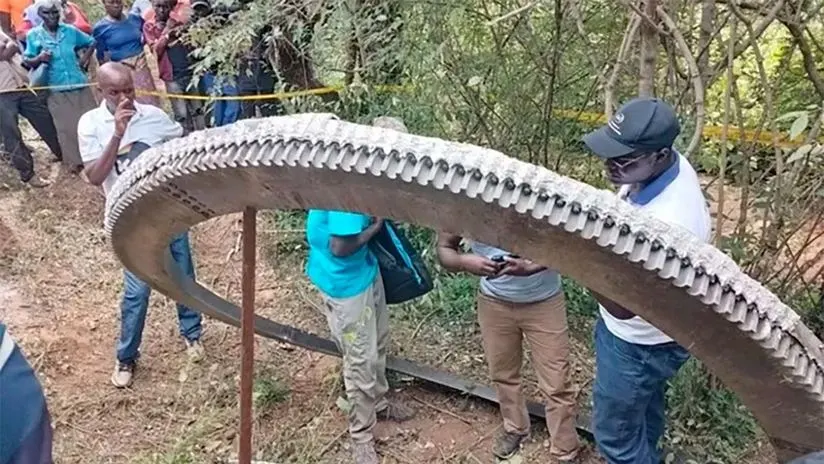 Un insólito incidente sacudió la tranquilidad del pueblo de Mukuku, ubicado en el sureste de Kenia, cuando un anillo metálico de aproximadamente 500 kilogramos cayó del cielo el pasado 30 de diciembre de 2024. Este hecho, que podría ser considerado un fenómeno aislado, ha generado un gran interés tanto a nivel nacional como internacional, destacando los desafíos que plantea el manejo de los desechos espaciales.