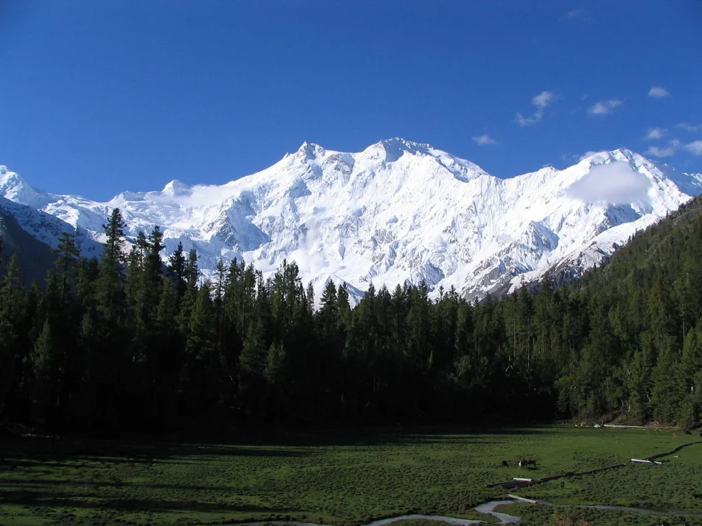 "Nanga Parbat, la montaña asesina"/EFE