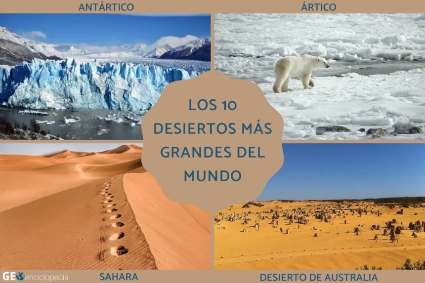 Los desiertos más grande del planeta./ EFE