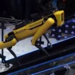 ¡Revolución en Rescates! Bomberos Chinos Usan un Perro Robot para Sobrevivir en Condiciones Extremas en este 2025