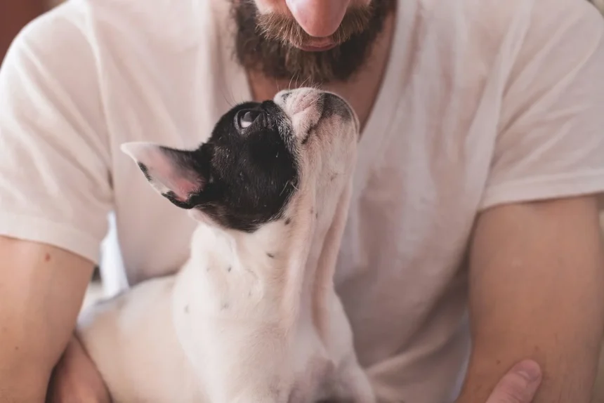 Contar con una mascota en casa puede ser una experiencia maravillosa, especialmente cuando se tiene niños. Los perros no solo brindan amor y compañía, sino que también pueden enseñar a los más pequeños sobre la responsabilidad y la empatía. Sin embargo, no todas las razas son adecuadas para convivir con niños, ya que algunas pueden ser demasiado enérgicas, temperamentales o frágiles. A continuación, te presentamos ocho razas de perros ideales para familias con niños.