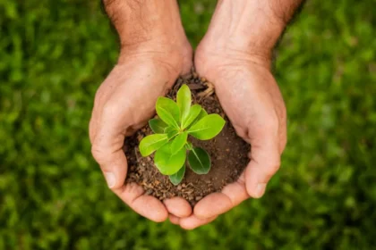 En un mundo donde los recursos naturales son cada vez más escasos y el cambio climático es una realidad innegable, adoptar un estilo de vida sostenible se ha convertido en una necesidad urgente. Pequeños cambios en nuestros hábitos diarios pueden tener un impacto significativo en la reducción de nuestra huella ambiental. A continuación, te presentamos siete consejos prácticos para vivir una vida más sostenible.