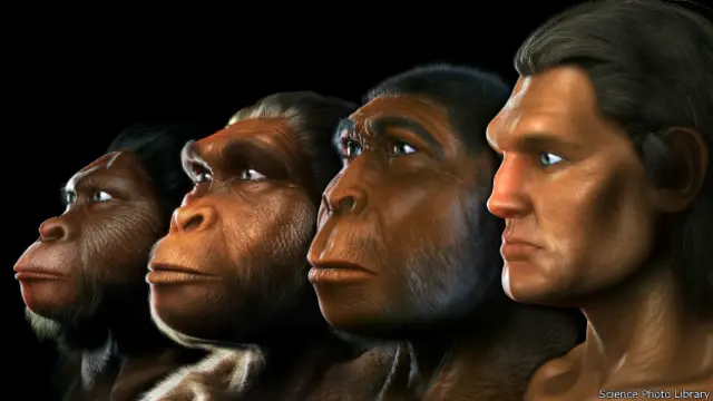 10 Misterios Inexplicables de la Evolución Humana que Desafían la Ciencia