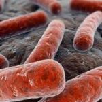 Congelación de fondos amenaza la lucha contra la tuberculosis, principal causa infecciosa de muerte en el mundo, gran crisis en este 2025