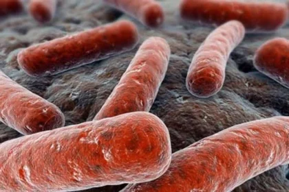 Congelación de fondos amenaza la lucha contra la tuberculosis, principal causa infecciosa de muerte en el mundo, gran crisis en este 2025