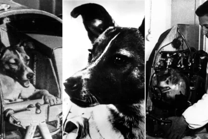 Laika, la primera perra en el espacio que marcó la historia de la exploración espacial: 10 datos sorprendentes sobre