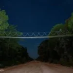 ¡SOLUCIÓN GENIAL! Los Puentes que Están Salvando Miles de Animales Así Funcionan los Cruces Seguros que Reducen el 80% de Muertes en Carreteras