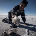 Trabajador indígena recolectando litio en un salar andino, símbolo de alianza entre comunidad originaria y minera para extracción sostenible.
