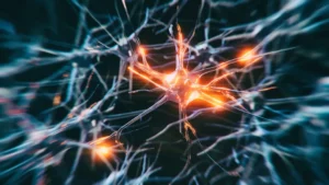Alzheimer. Joven de 19 anos es diagnosticado con Alzheimer siendo el caso mas precoz jamas registrado
