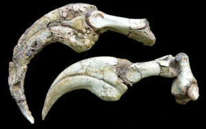 El Tacto de la Historia. Descubren la Huella Dactilar Humana Mas Antigua Jamas Registrada 1 1