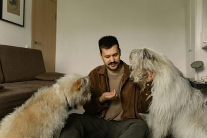perros
