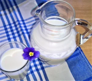 Bebidas Altas en Calcio y Vitamina D: La Clave para una Salud Ósea Óptima 3 Bebidas Altas en Calcio y Vitamina D: La Clave para una Salud Ósea Óptima