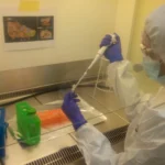 La lepra, una enfermedad que ha marcado la historia de la humanidad con estigma y sufrimiento, ha sido objeto de un descubrimiento revolucionario. Durante siglos, se creyó que los colonizadores europeos y las personas esclavizadas de África Occidental introdujeron esta enfermedad en América. Sin embargo, un estudio reciente publicado en la revista Science ha cambiado esta narrativa. Gracias al análisis de ADN antiguo, se ha demostrado que la lepra ya estaba presente en el continente americano mucho antes de la llegada de Cristóbal Colón. Este hallazgo, liderado por científicos del Instituto Pasteur, el CNRS y la Universidad de Colorado, revela una historia más compleja y antigua de la enfermedad en América.