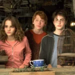 La magia de Harry Potter está de regreso, y HBO Max está preparando el terreno para una ambiciosa serie que promete traer de vuelta el universo creado por J.K. Rowling. El 9 de junio de 2025, HBO anunció una nueva tanda de actores que se suman al elenco de esta esperada producción, incluyendo a los intérpretes de personajes icónicos como Molly Weasley, los Malfoy y los Dursley. Este artículo explora todos los detalles sobre los nuevos fichajes, el impacto de estas elecciones en los fans y qué podemos esperar de esta adaptación que llegará entre 2026 y 2027.