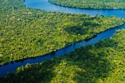 ¿Sabías que el Amazonas es el río más largo del mundo? 10 razones que lo confirman