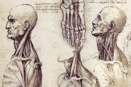 Top 10 Momentos Clave en la Historia de la Medicina y las Primeras Disecciones Humanas