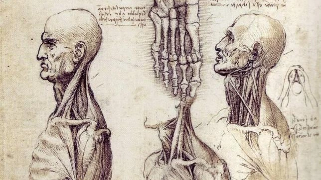 Top 10 Momentos Clave en la Historia de la Medicina y las Primeras Disecciones Humanas