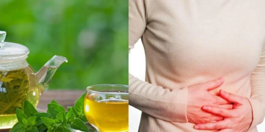 ¿Cómo limpiar tu flora intestinal naturalmente? 10 Métodos efectivos