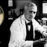 10 Curiosidades Fascinantes Sobre Quién Descubrió la Penicilina y Cómo Cambió la Historia