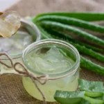 Top 6 Plantas Medicinales Que Puedes Cultivar en Casa Fácilmente: Bienestar Natural al Alcance de tu Hogar