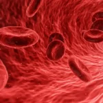 ¿Qué son las plaquetas? Descubre las 10 funciones vitales que cumplen en tu salud