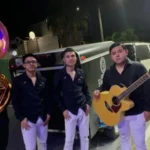 ¡Impactante! 7 Datos Clave sobre la Captura de M-47 y el Crimen que Conmocionó a Tamaulipas